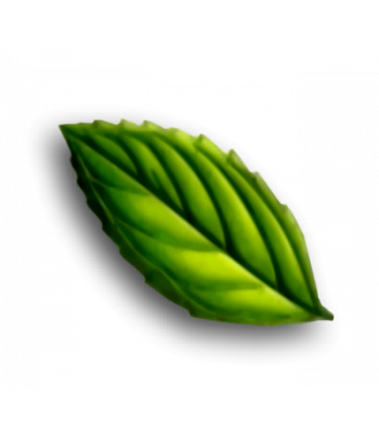 Natural Menthol