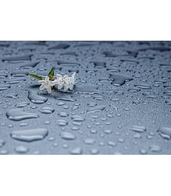 Natural Rainwater by Bulldog